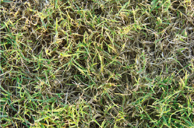 20150114090285068506