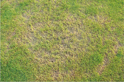 BB���ӡ�(�й�)��Ϸ�ٷ�����